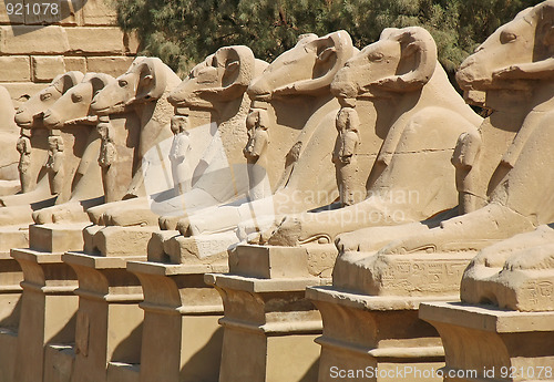 Image of Avenue of sphinxes at Luxor, Egypt