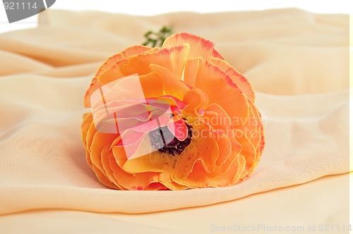 Image of Orange flower on a scarf