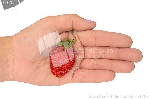 Image of Strawberry on the palm