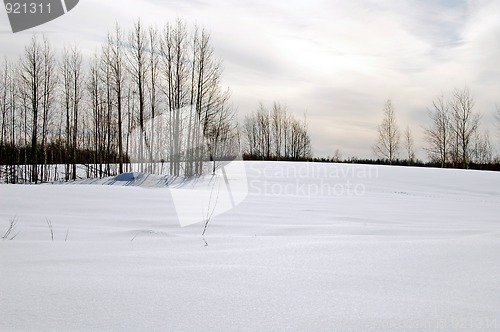 Image of Winter sunset