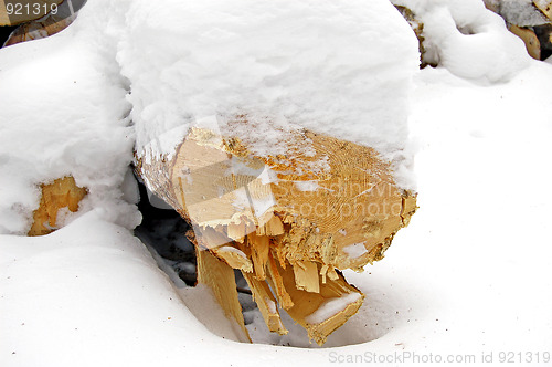 Image of wood under the snow