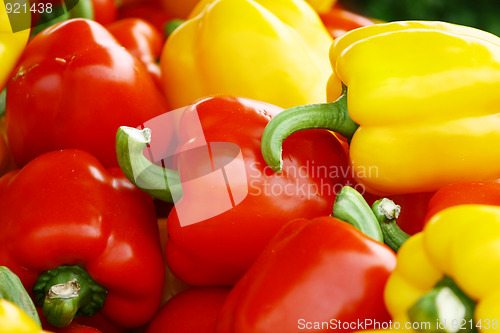 Image of colorful pepper background