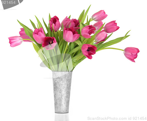 Image of Pink Tulip Flower Beauty