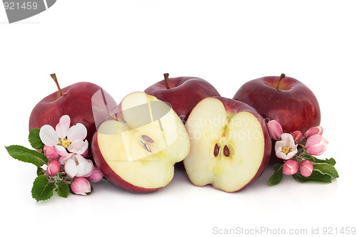 Image of Apples and Flower Blossom