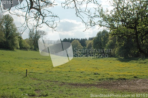 Image of Landscape