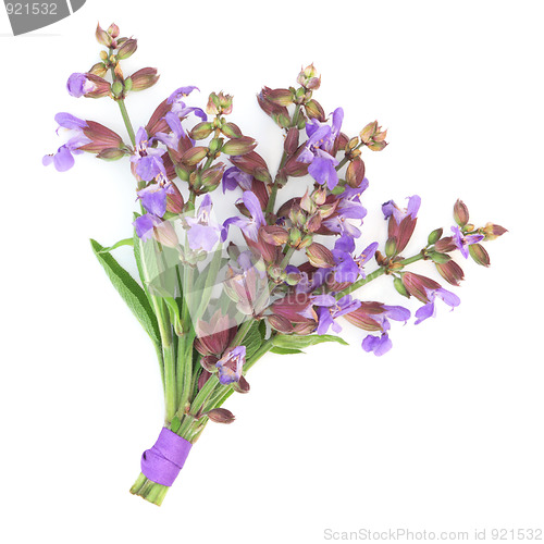 Image of Sage Herb Flower Posy