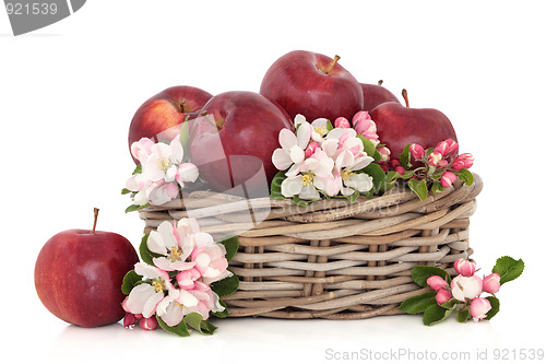 Image of Apples and Flower Blossom