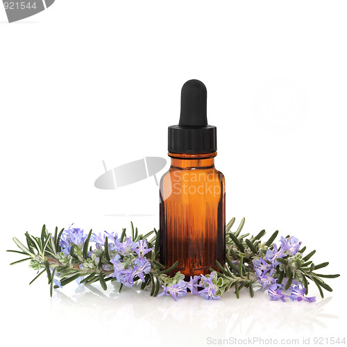 Image of Rosemary Herb Essence