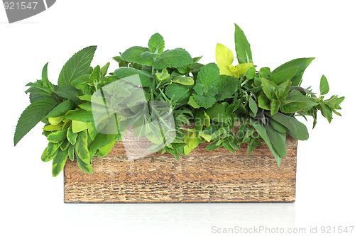 Image of Herb Leaf Mixture