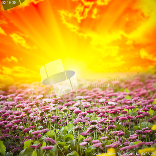 Image of beautiful nature