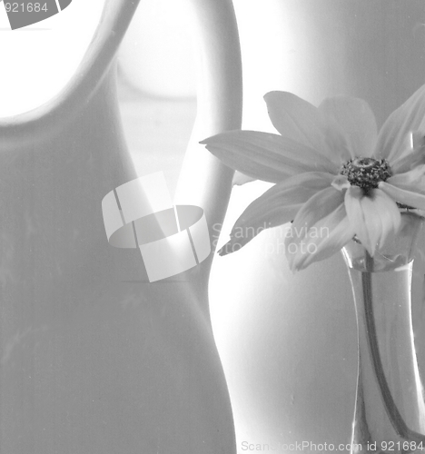 Image of jugs and flower