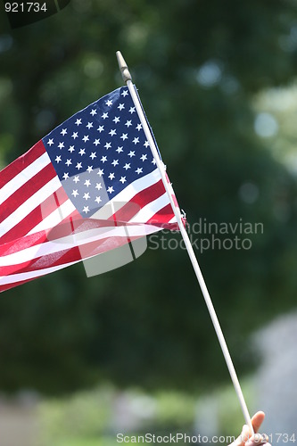 Image of American Flag