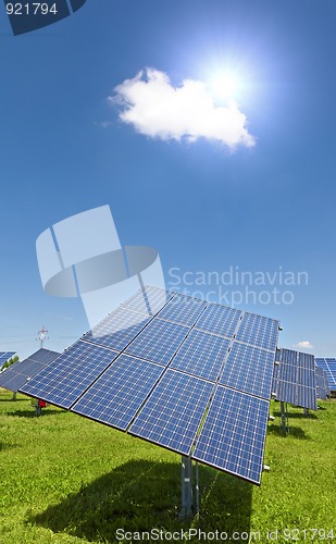 Image of solar plant