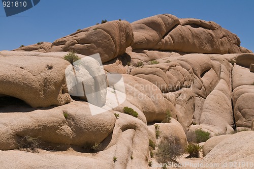 Image of Jumbo Rocks