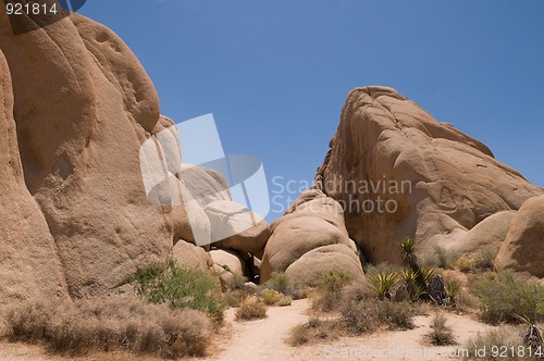 Image of Jumbo Rocks