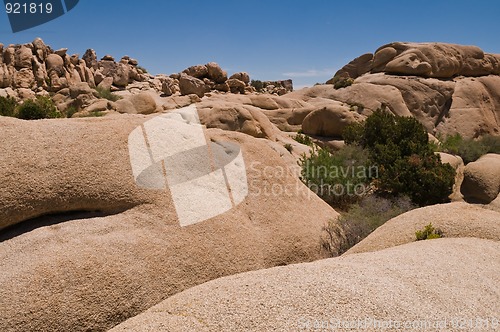 Image of Jumbo Rocks