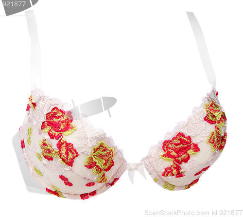 Image of Rose lace volume bra