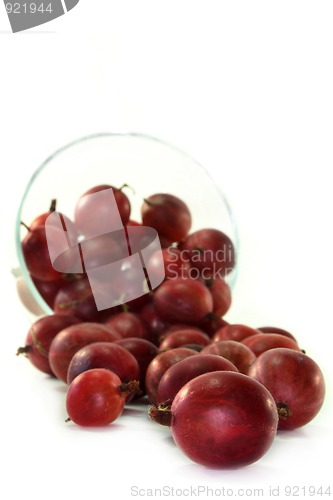 Image of Gooseberries