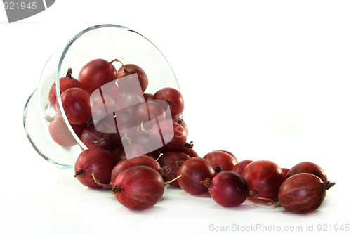 Image of Gooseberries