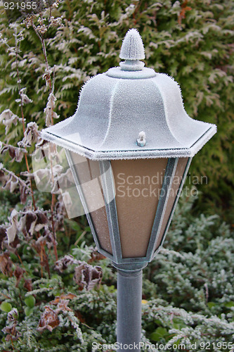 Image of Frost