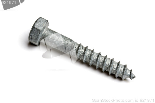 Image of One screw isolated on white