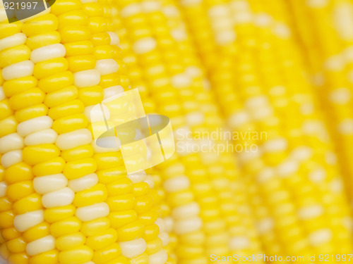 Image of Corn background