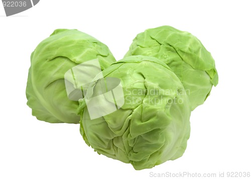 Image of Cabbages