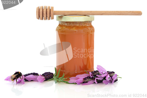 Image of Lavender Honey