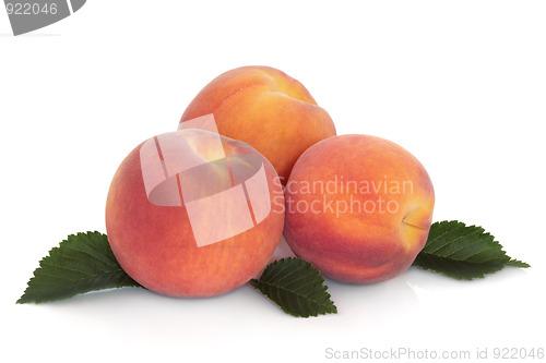 Image of Peaches