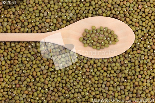 Image of Mung Beans