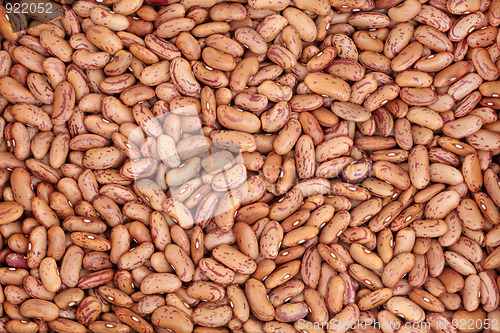 Image of Pinto Beans