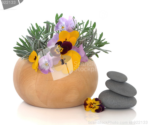 Image of Herb and Flower Therapy