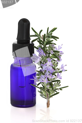 Image of Rosemary Herb Essence