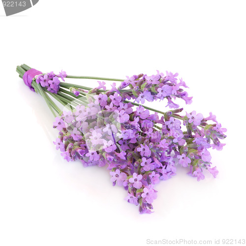 Image of Lavender Herb Flower Posy