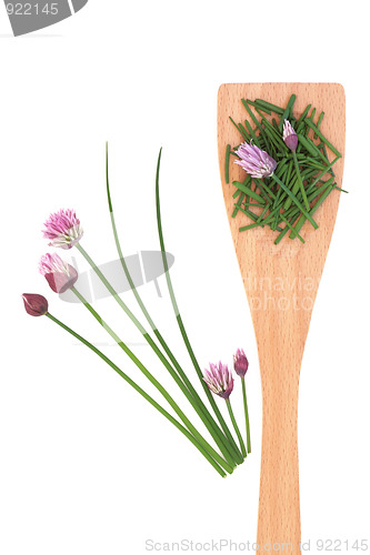 Image of Chives Herb with Flowers