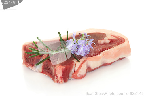 Image of Lamb Chop with Rosemary Herb