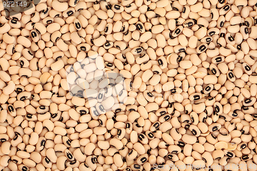 Image of Black Eyed Peas