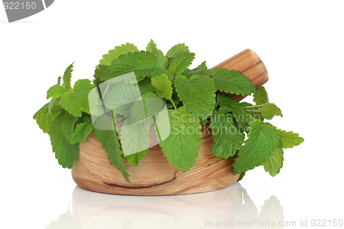 Image of Lemon Balm Herb Leaves