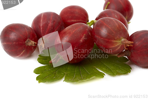 Image of Berries of gooseberry