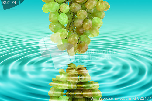 Image of Reflection of a green grape in water