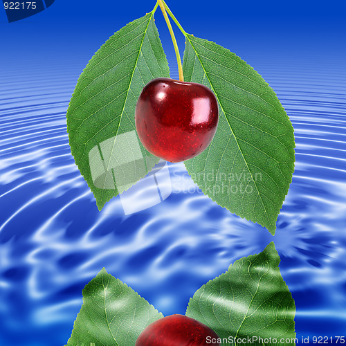 Image of Branch with leaf and red cherry