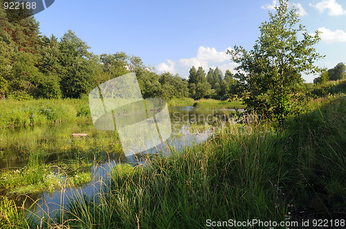 Image of Overgrown River in Central Russia