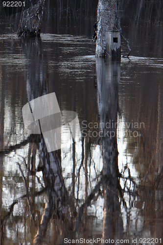 Image of Flood