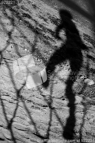Image of Netted