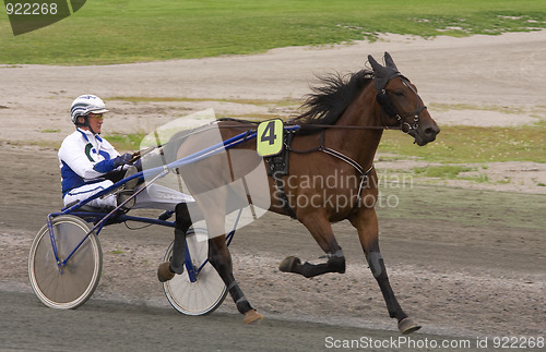 Image of Trotting race