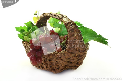 Image of Grapes