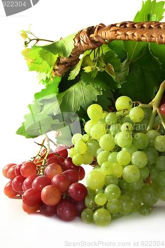 Image of Grapes