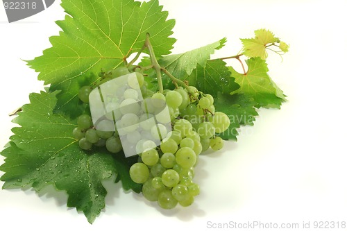 Image of bright grapes