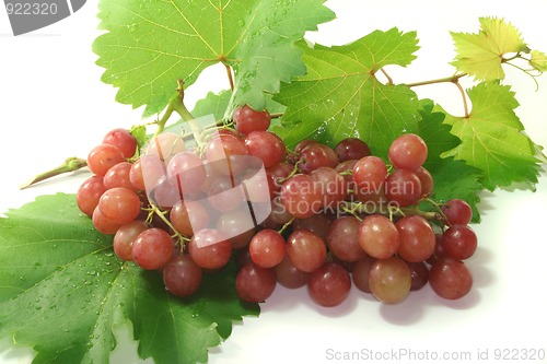 Image of red grapes