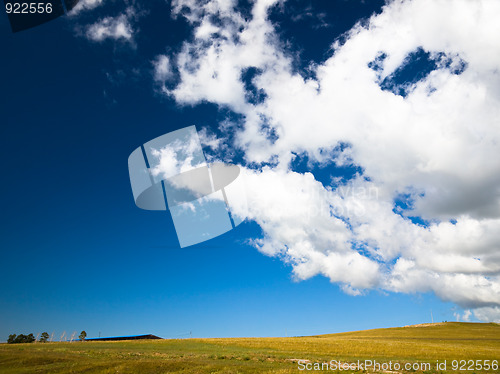 Image of scene of the meadow